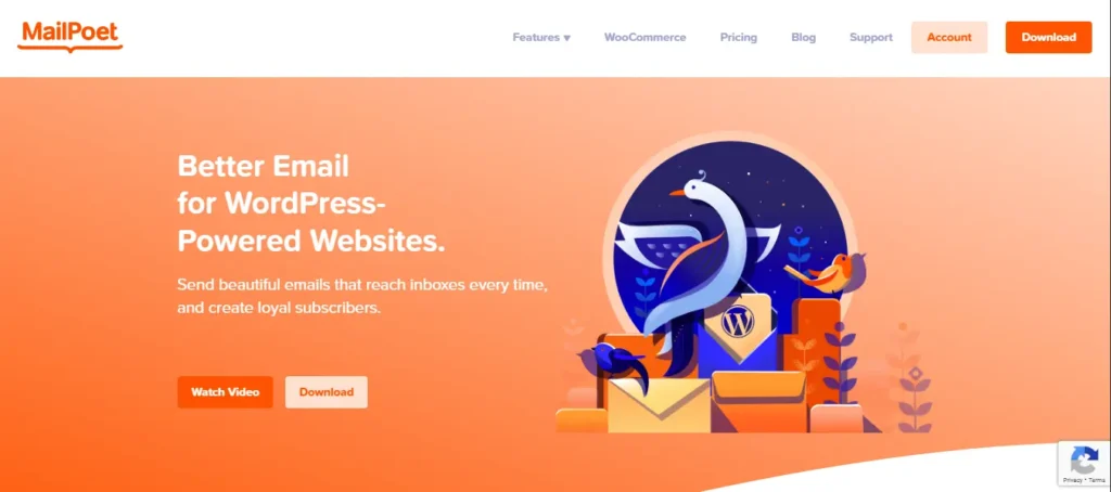 MailPoet Review