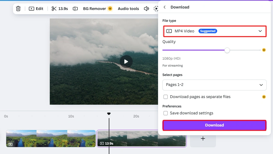 Export Options canva